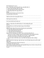 ĐỀ THI học kỳ 1 lop 5