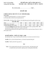 ĐỀ THI HỌC KỲ I - LỚP 11(2010 - 2011)