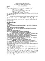 đề thi học sinh giỏi ngữ văn 9