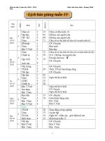 Giáo án Tuan 15 CKTKN,KNS