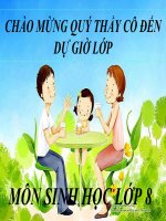 bài 27: tiêu hóa ở dạ dày