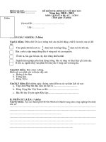 Đề KT CUOI HKI LS&ĐL Lớp 5 2010-2011 Có HDC