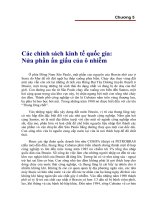 Xanh hóa công nghiêp- Vai trò mới của cộng đồng, thị trường và chính phủ - Phần3