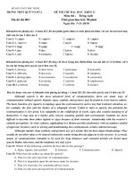 KHAO SAT TIENG ANH 6-11-2010