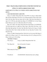 THỰC TRẠNG HOẠT ĐỘNG BẢO LÃNH PHÁT HÀNH TẠI CÔNG TY CHỨNG KHOÁN BẢO VIỆT