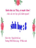 t16 tuần hoàn máu và lưu thông bạch huyết