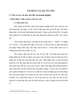 CƠ SỞ LÝ LUẬN VỀ VỐN