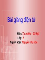 Loài vật sống ở những đâu