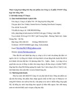 Thực trạng hoạt động tiêu thụ sản phẩm của Công ty cổ phần TM DV tổng hợp Sức Sống Mới