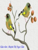 Tiết 33 Công nghệ gen (Học theo góc)