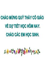 tac dung tu cua dong dien - tu truong
