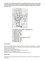 Xem bàn tay: Các đường chỉ tay