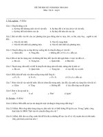 Đề thi Lý 8 học kỳ I