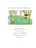 Chủ đề dạy học: Thế giới thực vật - Đề tài: Làm quen văn học - Nội dung chính: Truyện Chú Đỗ con - Lứa tuổi: 4 - 5 tuổi