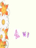 cac ki hieu ghi truong do