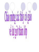 Chuong II-dia li 9-Bai 20 DBSH