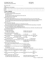 ĐỀ THI HKI TIN 10