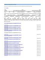 Viết bài cho blog trên nền Flash