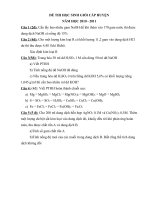 Đề thi HSG 2010-2011