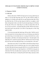 TỔNG QUAN VỀ NGÂN HÀNG THƯƠNG MẠI VÀ NHỮNG VẤN ĐỀ CƠ BẢN VỀ NỢ XẤU