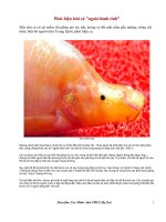 Phat hien loai ca ngoai hanh tinh?