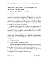 THỰC TRẠNG HOẠT ĐỘNG KINH DOANH TẠI CHI NHÁNH VIETTEL BẮC NINH