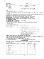 Giao An Khoa Hoc L4- Tuan 11- 2010(CKTKN)