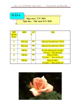 giao an thu cong lop 2 2010-2011