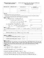 Đề thi HSG máy tính bỏ túi năm 2010