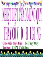 Mo dau hoa huu co (lethuyquy)