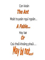 Câu chuyện con Kiến