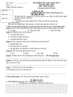 Đề thi giữa kì I HSG cấp trường