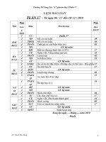 giao an lop 3 tuan 17 cktkn