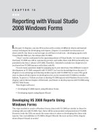 Reporting with Visual Studio 2008 Windows Forms