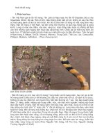 nghiên cứu về chăn nuôi Rắn hổ mang