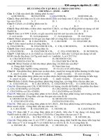 đề cương ôn tập hk1-k12(hot)