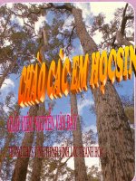 sinh hoc 6.Sinh sản sinh dưỡng do người