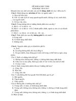 DE THI KHOA HOC CHKI