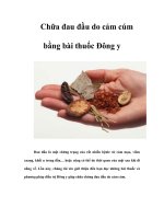 Chữa đau đầu do cảm cúm bằng bài thuốc Đông y