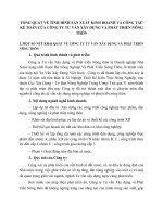 TỔNG QUÁT VỀ TÌNH HÌNH SẢN XUẤT KINH DOANH VÀ CÔNG TÁC KẾ TOÁN CỦA CÔNG TY TƯ VẤN XÂY DỰNG VÀ PHÁT TRIỂN NÔNG THÔN