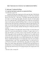 THỰC TRẠNG QUẢN LÝ NỢ XẤU TẠI AGRIBANK HẢI PHÒNG