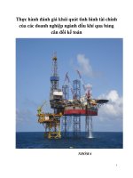 Thực hành đánh giá khái quát tình hình tài chính của các doanh nghiệp ngành dầu khí qua bảng cân đối kế toán