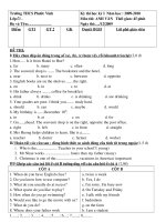 đền thi Anh văn7 học kỳ I tham khảo