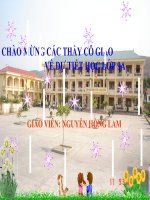 Nguyễn Du và Truyện Kiều - GV Nguyễn Hồng Lam