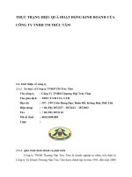 THỰC TRẠNG HIỆU QUẢ HOẠT ĐỘNG KINH DOANH CỦA CÔNG TY TNHH TM TRÚC TÂM