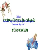 Bài 37. Sinh trưởng và phát triển ở động vật