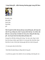 Lỏng khớp gối - chấn thương thường gặp trong thể thao