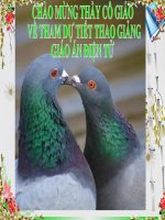 toi thich the thao, do nhuan