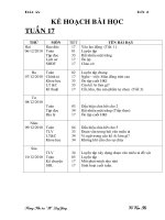 GA lóp 4 tuần 17-chuẩn KTKN-KNS-2010-2011