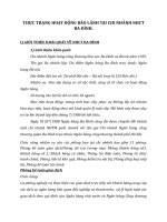 THỰC TRẠNG HOẠT ĐỘNG BẢO LÃNH TẠI CHI NHÁNH NHCT BA ĐÌNH